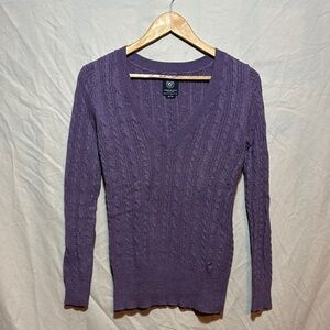 American Eagle Outfitters V-Neck Purple Sweater